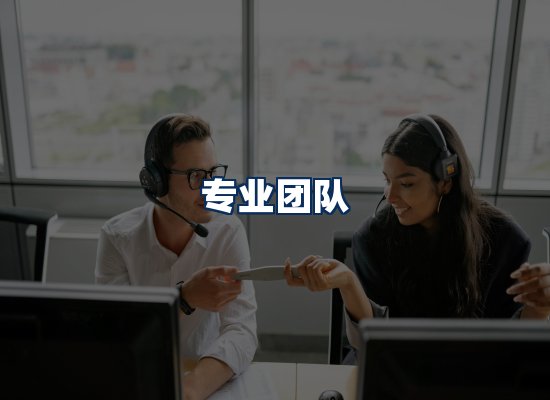 专业团队